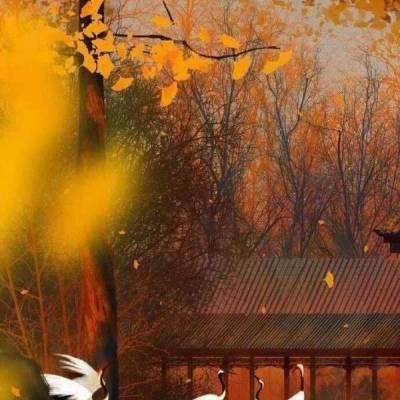 第四届中国（东阳）木雕红木家具交易博览会即将召开